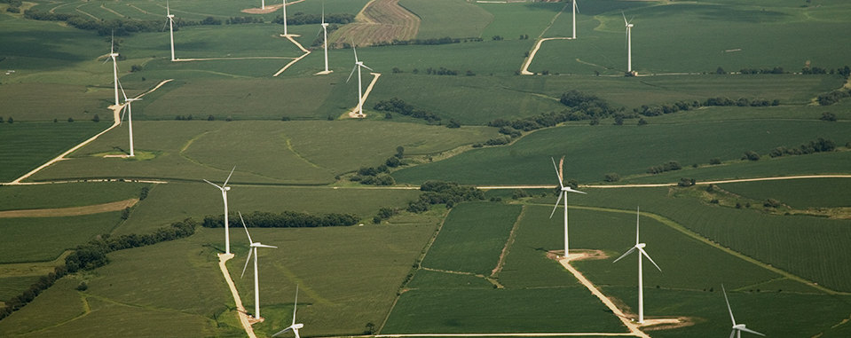 Ecogrove Wind Farm